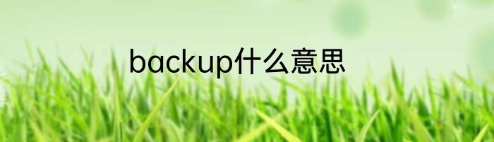 backup什么意思