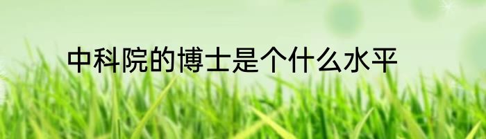中科院的博士是个什么水平