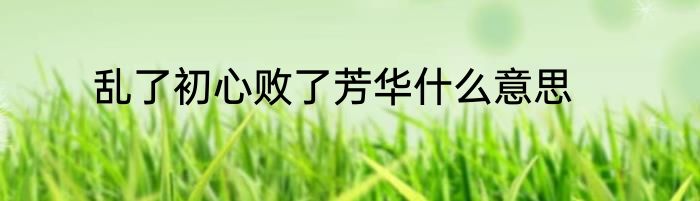 乱了初心败了芳华什么意思