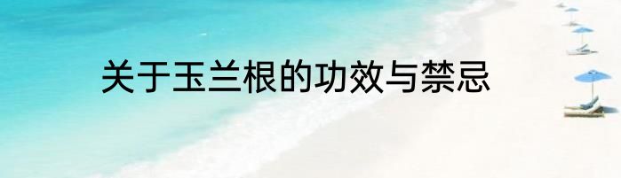 关于玉兰根的功效与禁忌