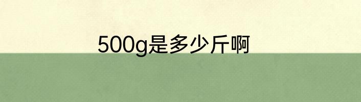 500g是多少斤啊
