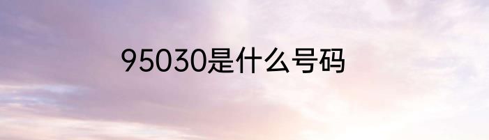 95030是什么号码