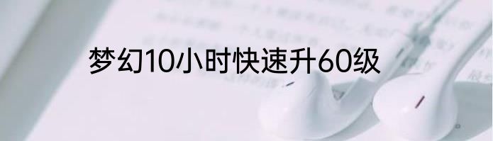 梦幻10小时快速升60级