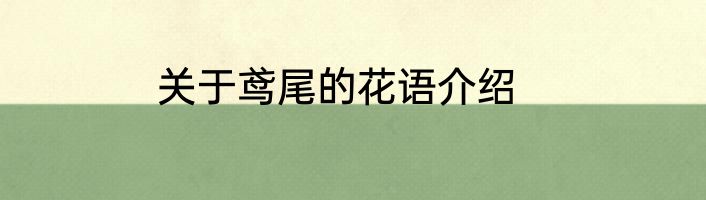 关于鸢尾的花语介绍
