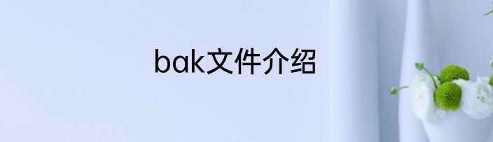 bak文件介绍