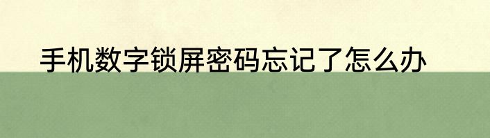 手机数字锁屏密码忘记了怎么办