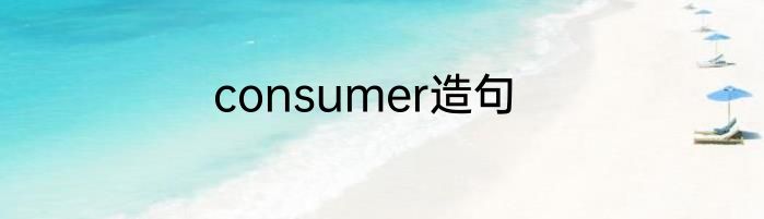 consumer造句