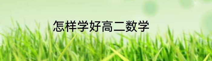 怎样学好高二数学