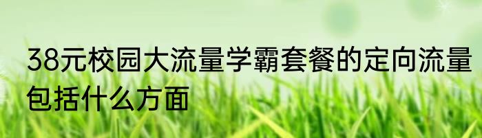 38元校园大流量学霸套餐的定向流量包括什么方面