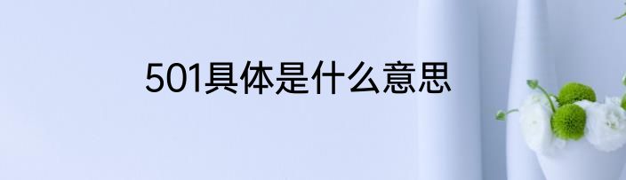 501具体是什么意思