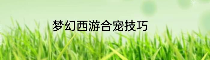 梦幻西游合宠技巧