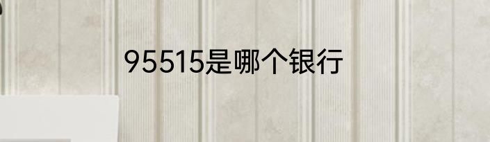 95515是哪个银行