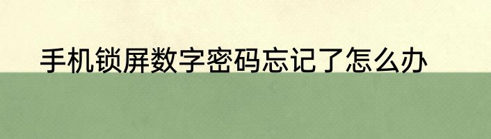 手机锁屏数字密码忘记了怎么办