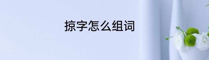 掠字怎么组词