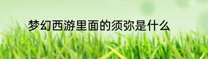 梦幻西游里面的须弥是什么