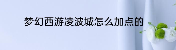 梦幻西游凌波城怎么加点的