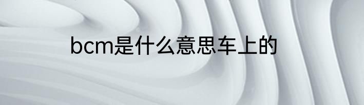 bcm是什么意思车上的