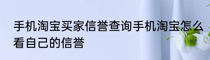 手机淘宝买家信誉查询手机淘宝怎么看自己的信誉
