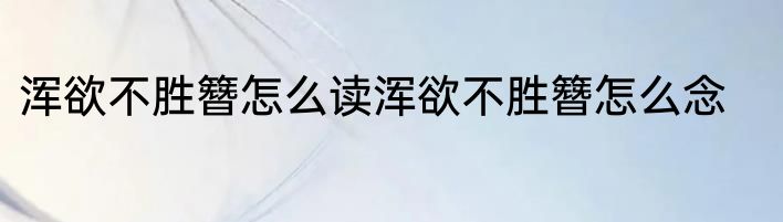 浑欲不胜簪怎么读浑欲不胜簪怎么念