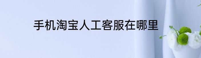 手机淘宝人工客服在哪里