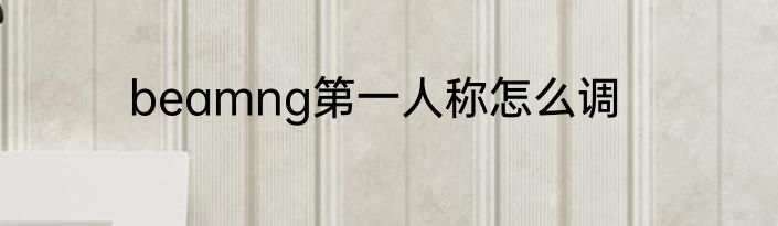 beamng第一人称怎么调