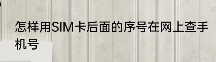 怎样用SIM卡后面的序号在网上查手机号