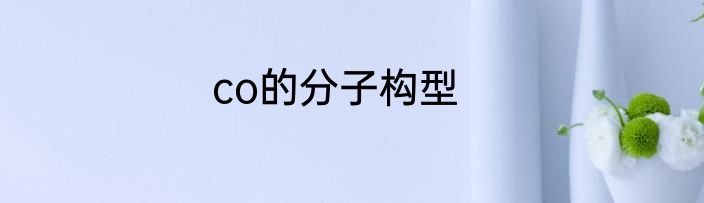 co的分子构型