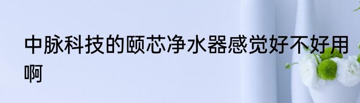 中脉科技的颐芯净水器感觉好不好用啊