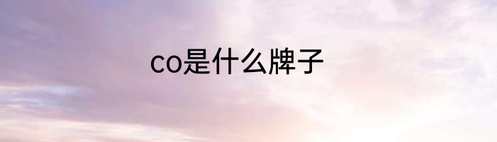 co是什么牌子