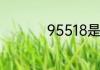 95518是哪个保险公司