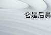 仑是后鼻音还是前鼻音