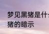 梦见黑猪是什么意思周公解梦梦见黑猪的暗示
