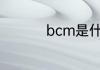 bcm是什么意思车上的