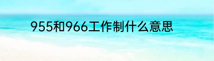 955和966工作制什么意思