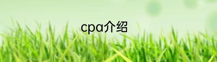 cpa介绍
