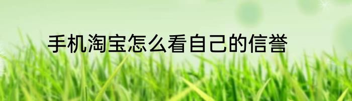手机淘宝怎么看自己的信誉