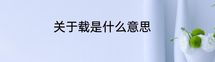 关于载是什么意思