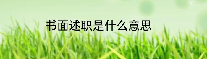 书面述职是什么意思