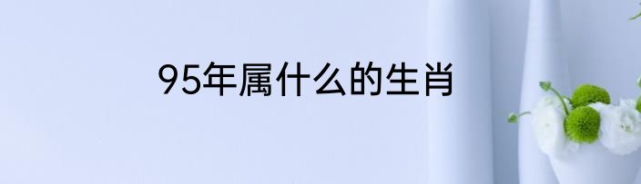 95年属什么的生肖