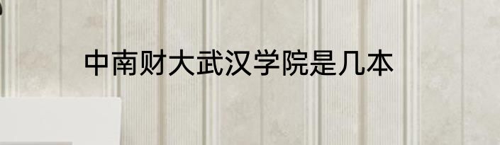 中南财大武汉学院是几本