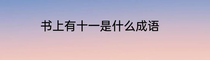书上有十一是什么成语
