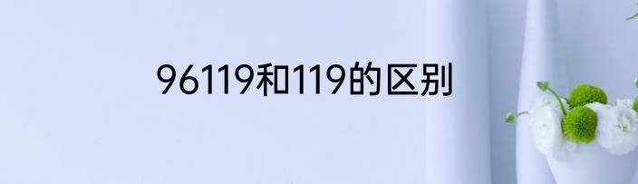 96119和119的区别