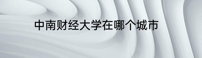 中南财经大学在哪个城市