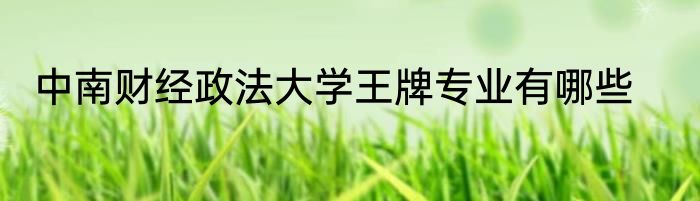 中南财经政法大学王牌专业有哪些