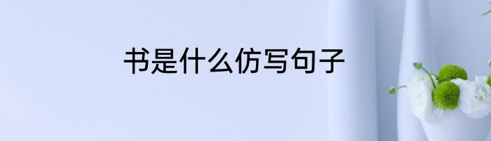 书是什么仿写句子