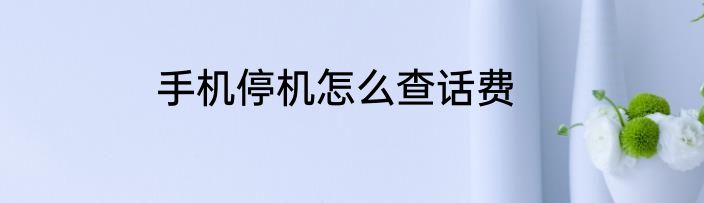 手机停机怎么查话费