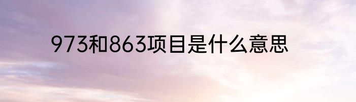 973和863项目是什么意思