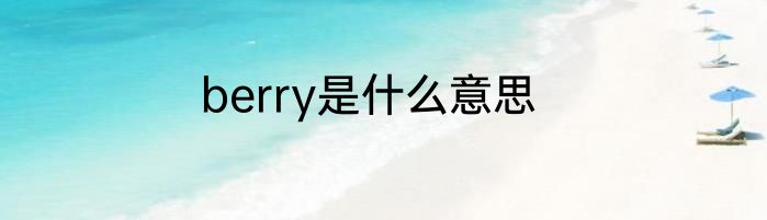 berry是什么意思