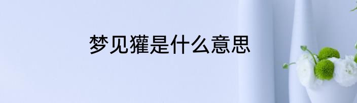 梦见獾是什么意思