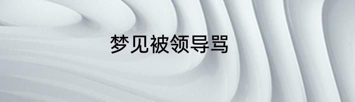 梦见被领导骂